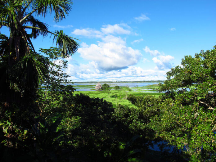 Why You Should Go to Iquitos