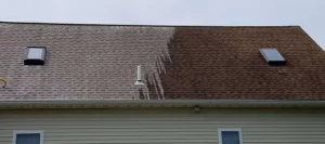 Do I Need To Clean My Roof? 5 Benefits to Roof Cleaning In The Tampa Area