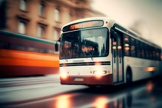 Successful businesses in public transportation