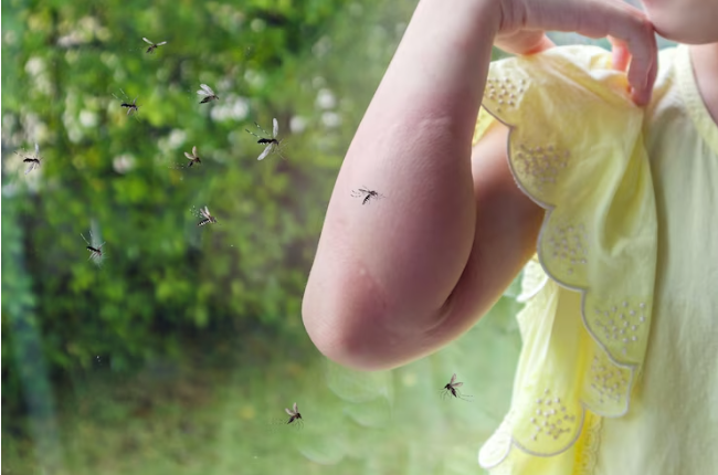 Does your repellent really keep the mosquitoes away? Researchers now have the findings.