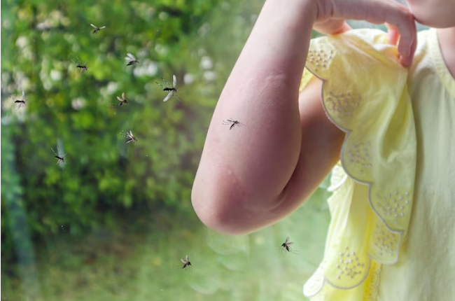 Does your repellent really keep the mosquitoes away? Researchers now have the findings. 1 keep the mosquitoes away
