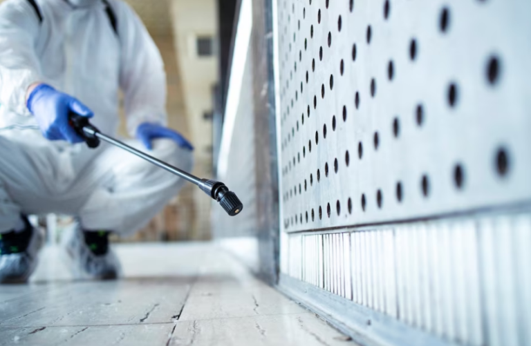 Solutions For Your Rodent Problem In San Jose 1 rodent proofing, rodent control