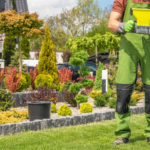 seattle landscaping company