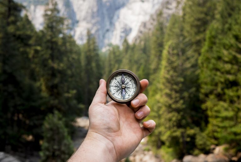 Sailing 101: From Reading the Winds to Using an Online Compass