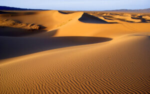 Gobi Desert