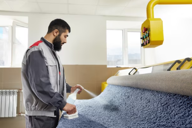 professional carpet cleaner in Dublin