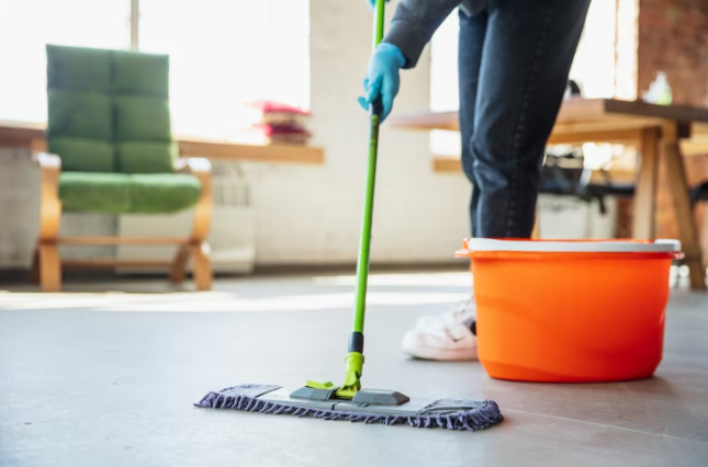 Carpet Cleaner