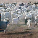 The Silk Road Civilization at the China National Art Museum