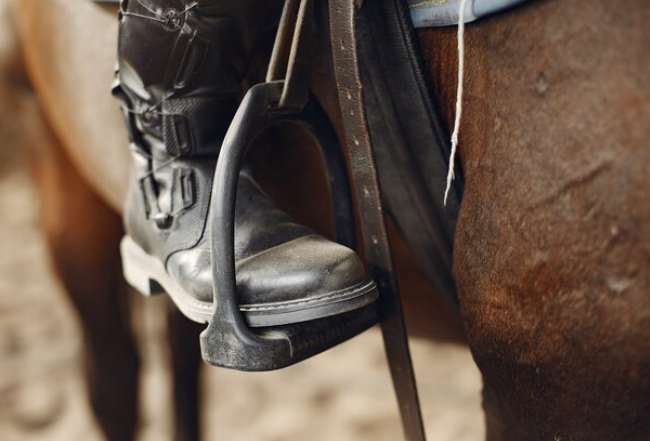 Hoof Conditioner for Horses