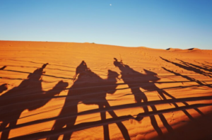 Morocco desert tours