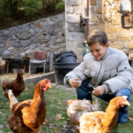 Creating Sustainable Chicken Feed with Homegrown Herbs