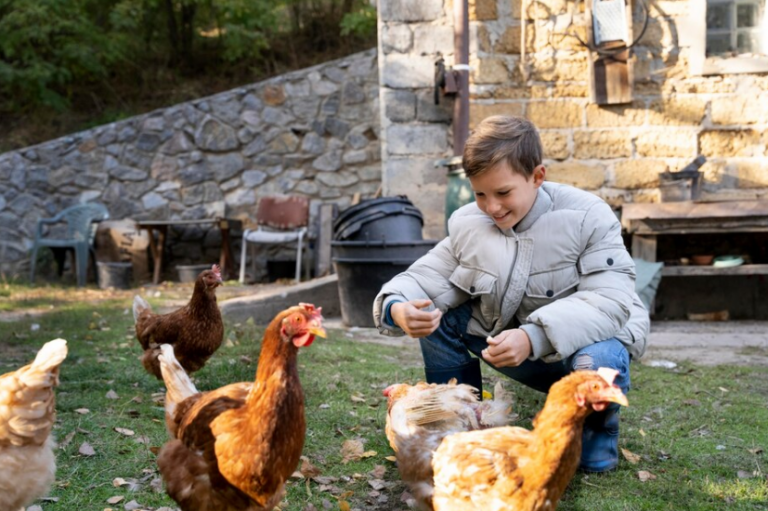 Creating Sustainable Chicken Feed with Homegrown Herbs
